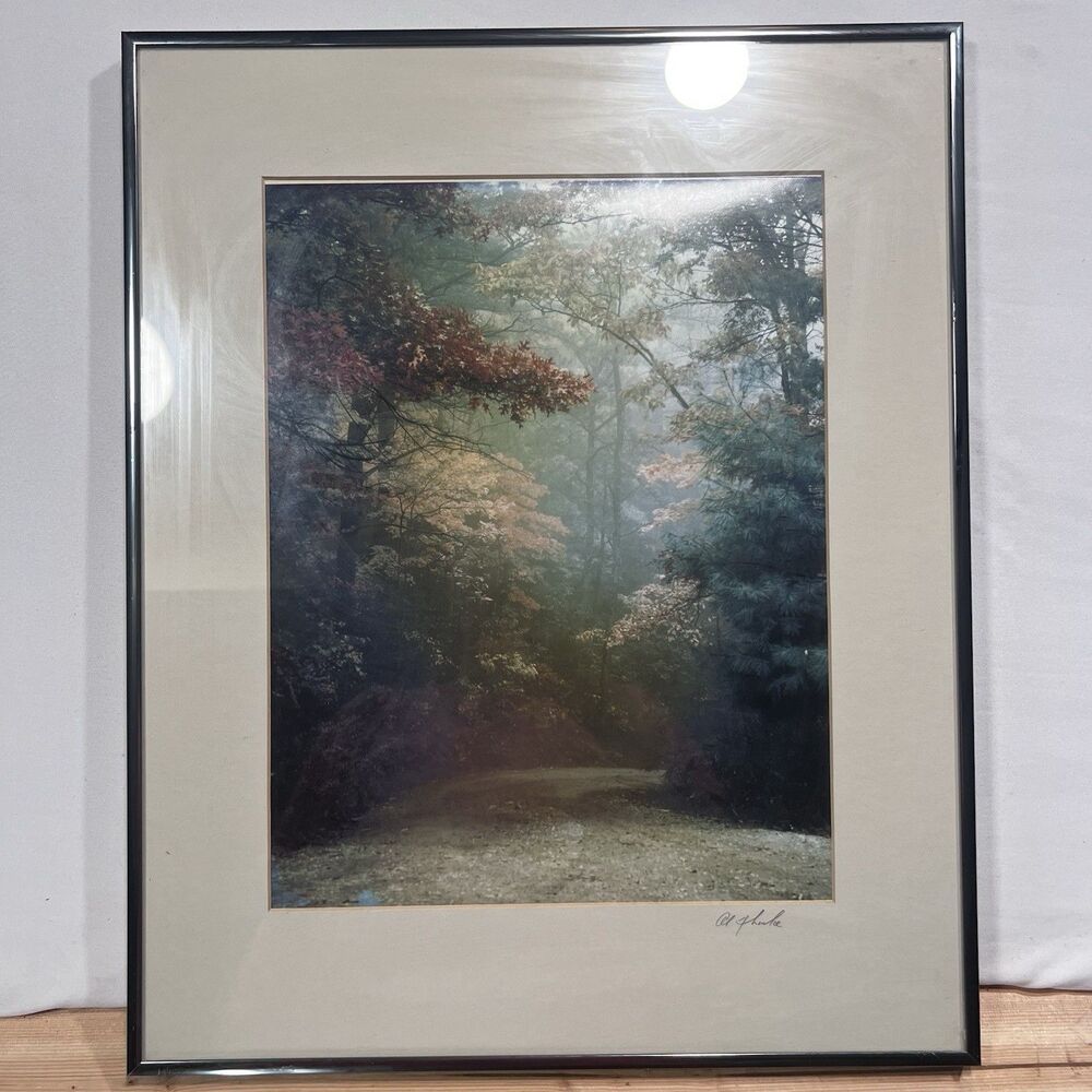 Al Glienke Signed Vintage Misty Forest Road Fine Art Photo Metal Frame Oak Park